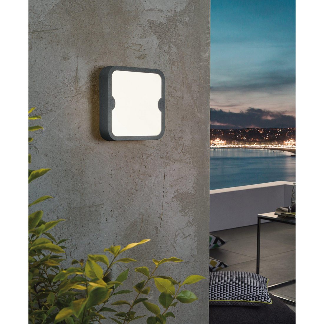 ALFENA-S Wall/Outdoor Ceiling Light by The Light Library