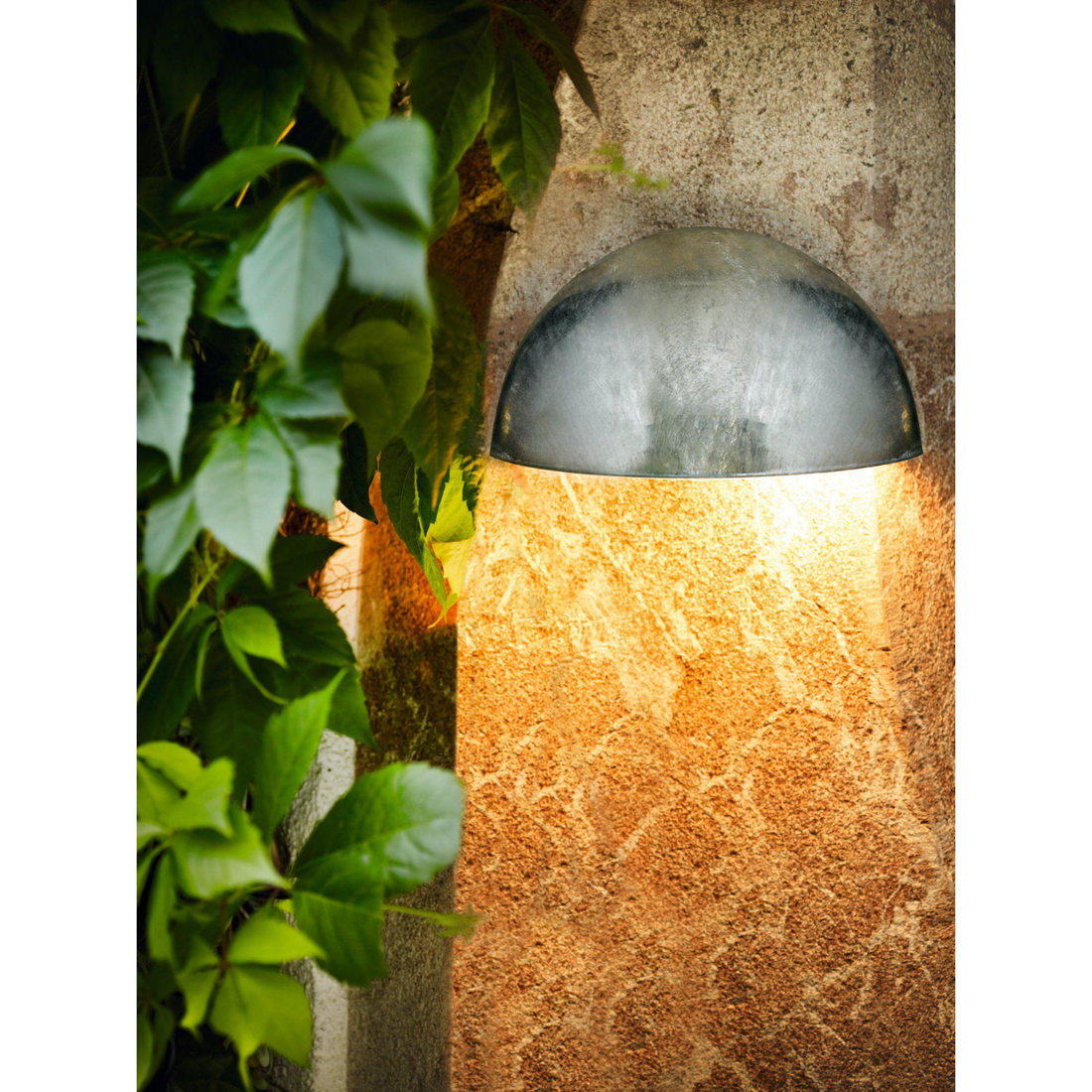 LEPUS Outdoor Wall Light by The Light Library