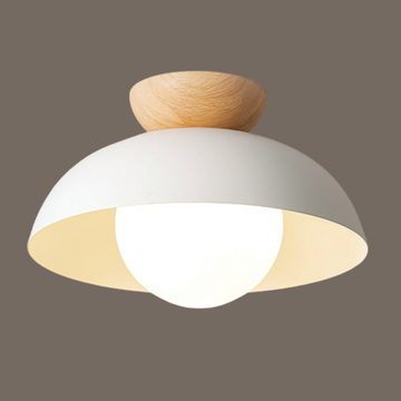 Ksenia Ceiling Light