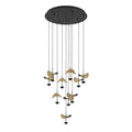 DRACERA pendant light by The Light Library