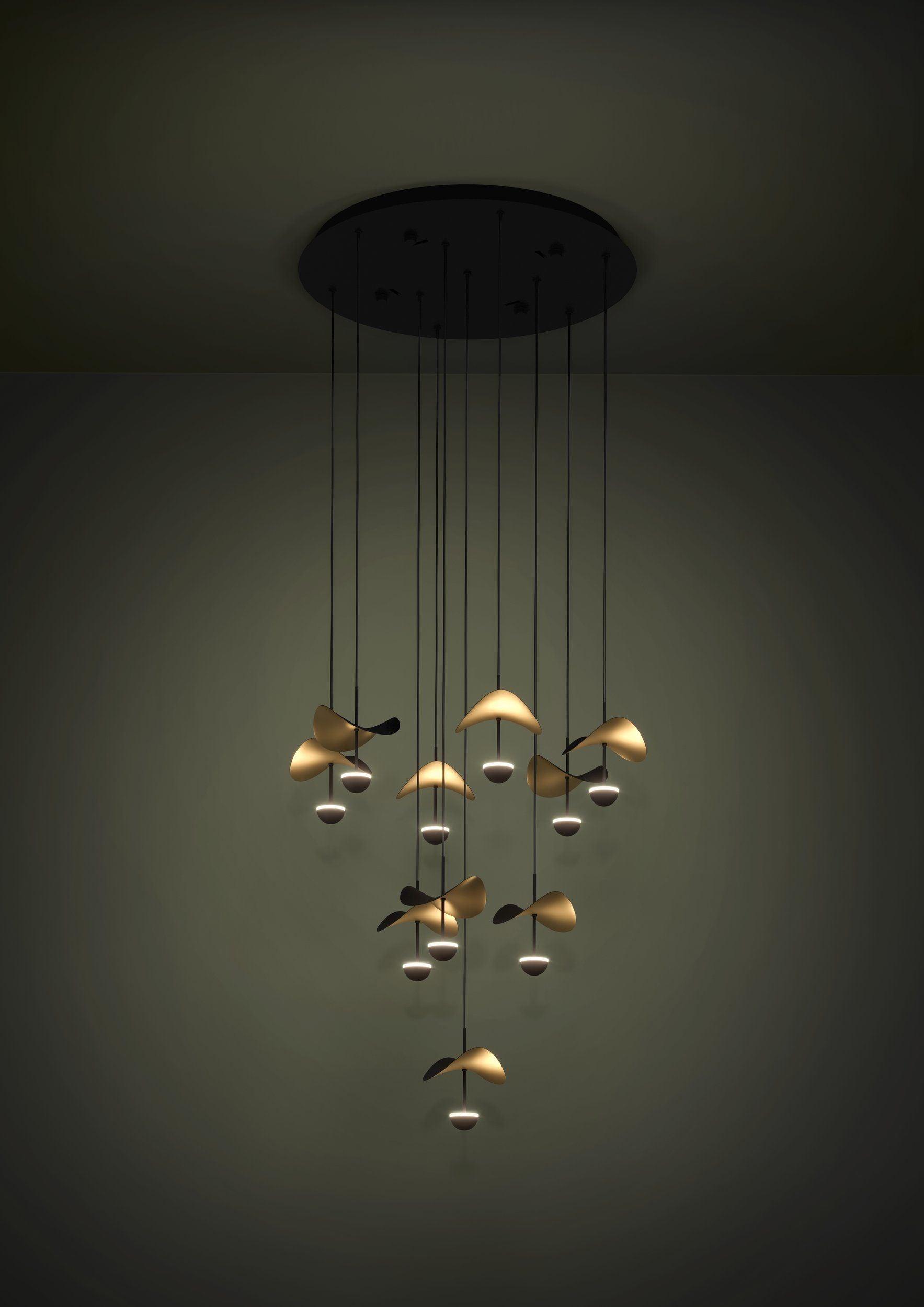 DRACERA pendant light by The Light Library