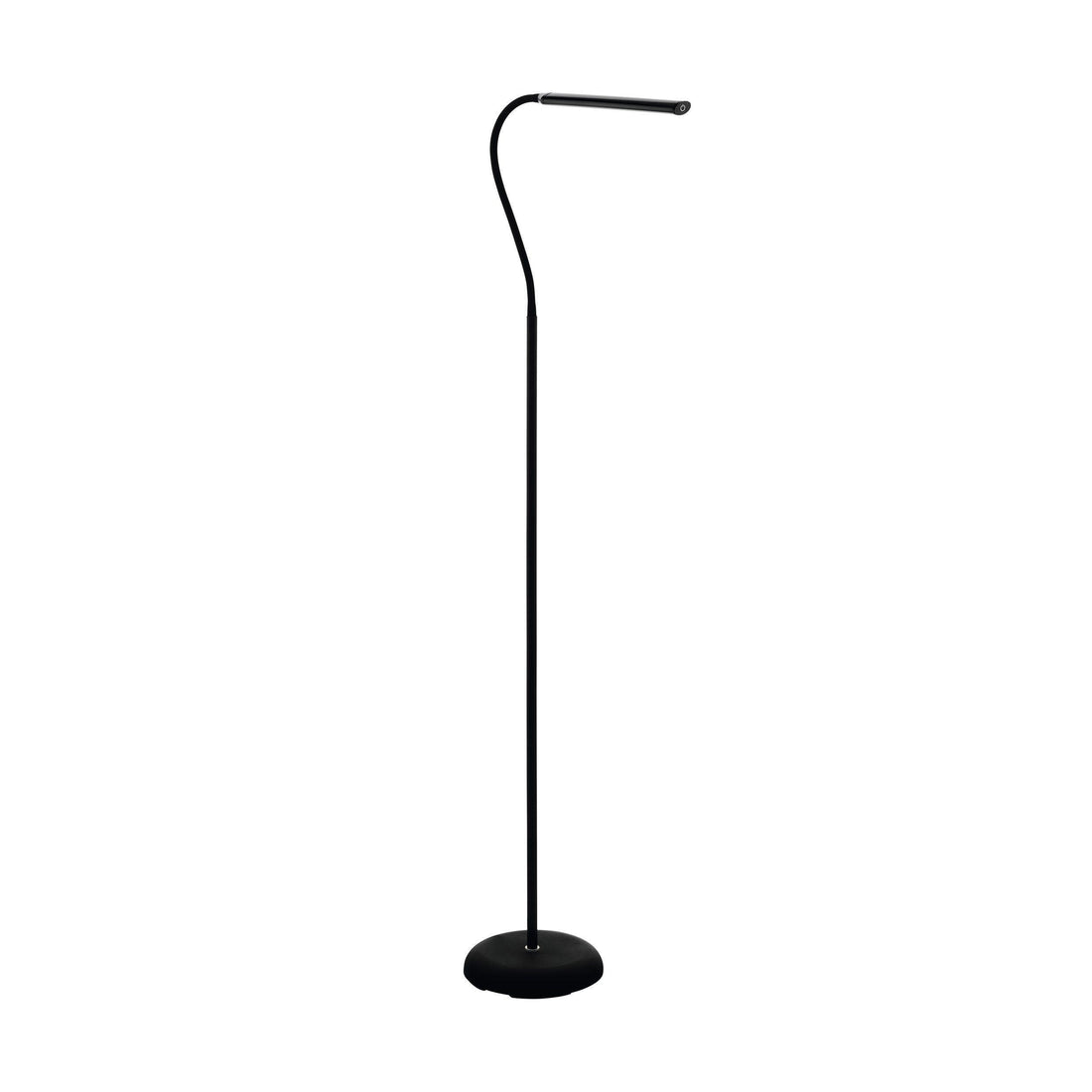 LAROA Floor Lamp by The Light Library