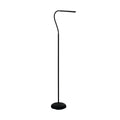 LAROA Floor Lamp by The Light Library