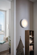 ONTANEDA outdoor wall/ceiling light by The Light Library