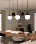 RONDO 3 Pendant Light by The Light Library