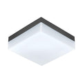 SONELLA Wall/Outdoor Ceiling Light by The Light Library