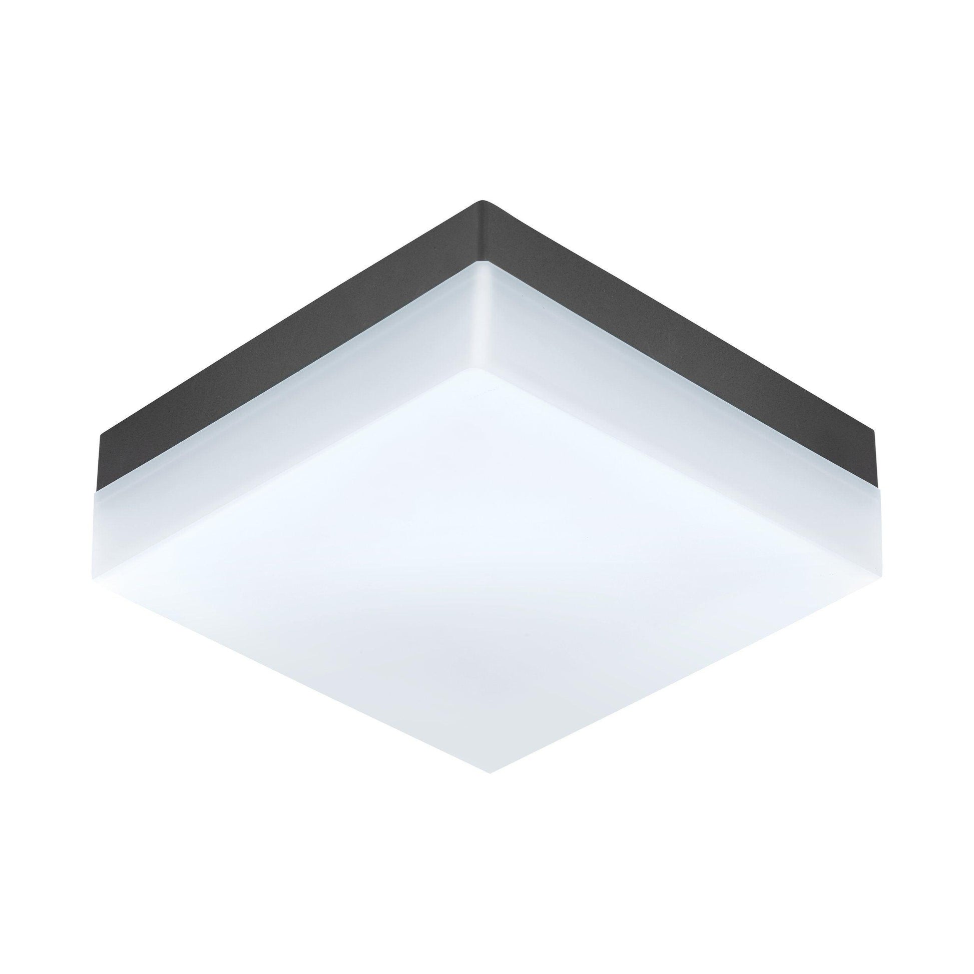 SONELLA Wall/Outdoor Ceiling Light by The Light Library