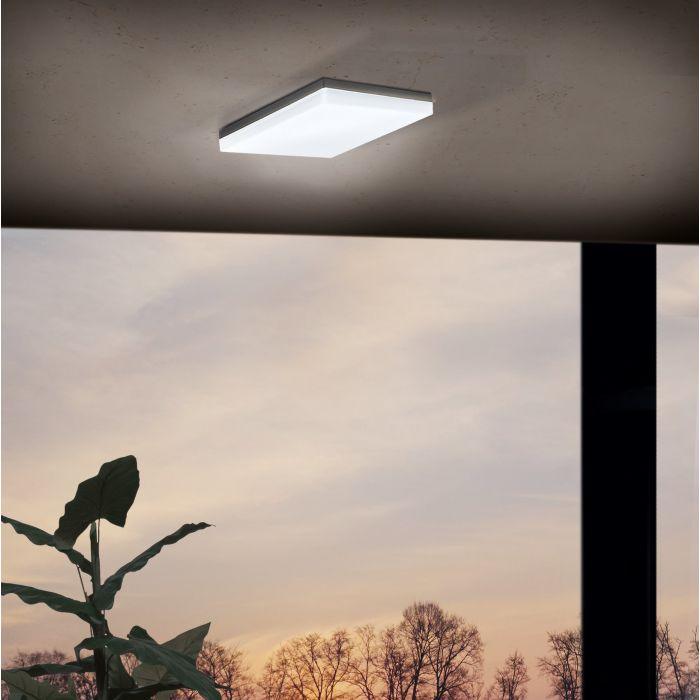 SONELLA Wall/Outdoor Ceiling Light by The Light Library