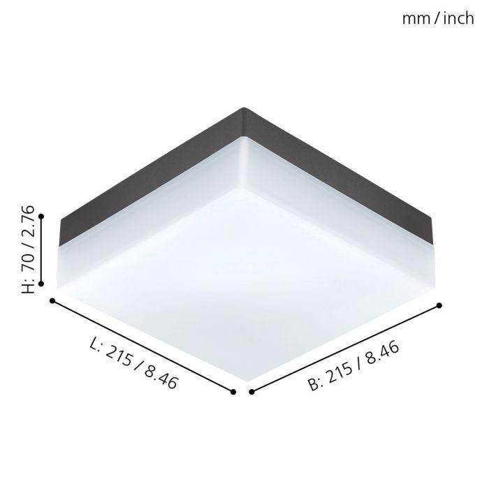 SONELLA Wall/Outdoor Ceiling Light by The Light Library