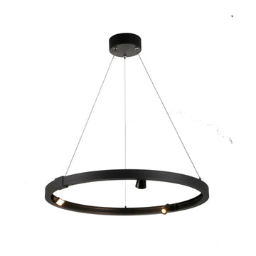 ZODIAC Pendant Light by The Light Library